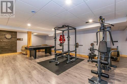 223 Olivers Pond Road, Portugal Cove-St. Philips, NL - Indoor Photo Showing Gym Room