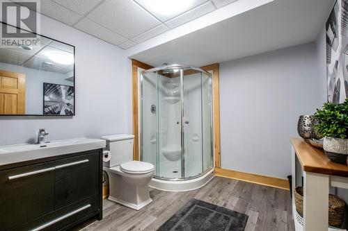 223 Olivers Pond Road, Portugal Cove-St. Philips, NL - Indoor Photo Showing Bathroom