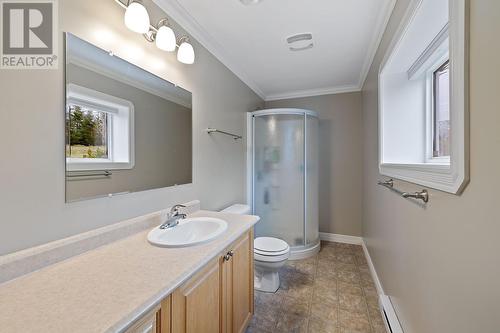 36 Vineyard Drive, Paradise, NL - Indoor Photo Showing Bathroom