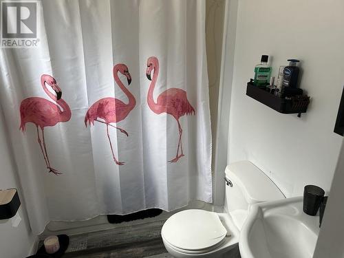 21 Gilbert Street, Corner Brook, NL - Indoor Photo Showing Bathroom