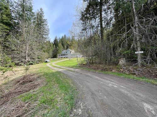 3865 Malina Road, Nelson, BC - Outdoor With View