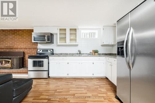 244 Laurier Ave, Milton, ON - Indoor Photo Showing Kitchen With Stainless Steel Kitchen