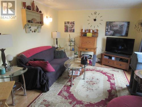 9 Eighteenth Avenue, Grand Falls Windsor, NL - Indoor Photo Showing Living Room