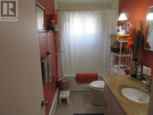 9 Eighteenth Avenue, Grand Falls Windsor, NL - Indoor Photo Showing Bathroom