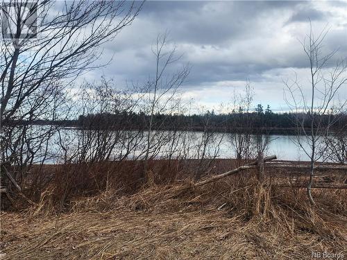 8 Acres North Black River Road, Black River Bridge, NB 