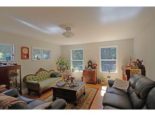 8481 Highway 6, Slocan, BC - Indoor Photo Showing Living Room