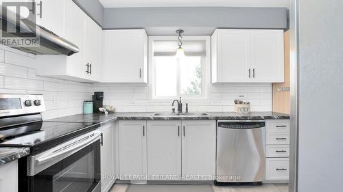 914 Shelborne Street, London, ON - Indoor Photo Showing Kitchen With Double Sink