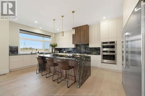 4845 Terra Bella, Lasalle, ON - Indoor Photo Showing Kitchen With Upgraded Kitchen