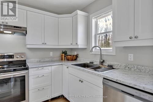 909 Fairbairn St, Smith-Ennismore-Lakefield, ON - Indoor Photo Showing Kitchen With Double Sink