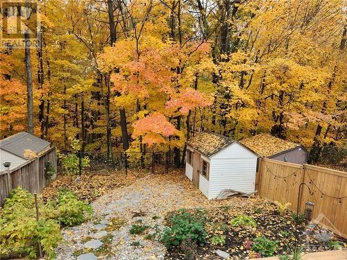 Exterior backyard during Fall and overlooking the wood ravine - 312 Fernleaf Crescent, Ottawa, ON - Outdoor