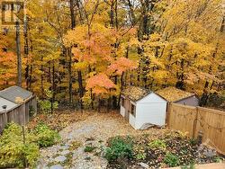 Exterior backyard during Fall and overlooking the wood ravine - 