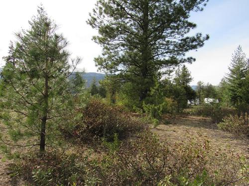 925 Columbia Road, Castlegar, BC - Outdoor With View