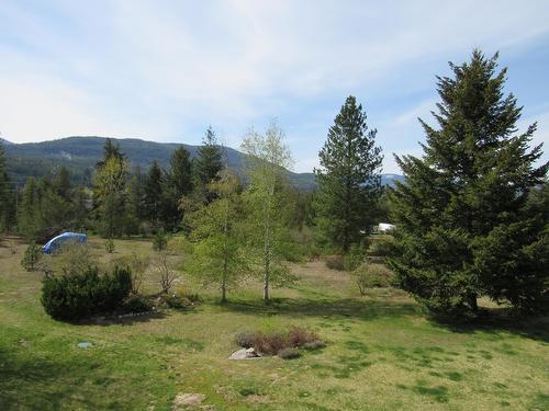 925 Columbia Road, Castlegar, BC - Outdoor With View
