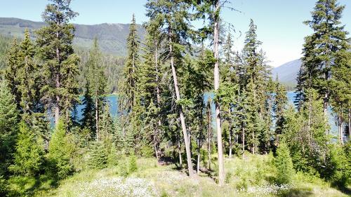 Lot 13 Whitetail Lake Road, Canal Flats, BC 