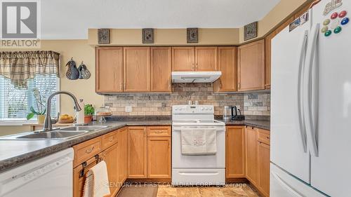 917 Garibaldi Ave, London, ON - Indoor Photo Showing Kitchen With Double Sink