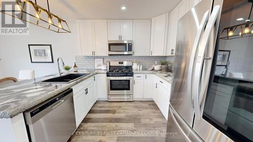 103 Metcalfe St, Ingersoll, ON - Indoor Photo Showing Kitchen With Double Sink