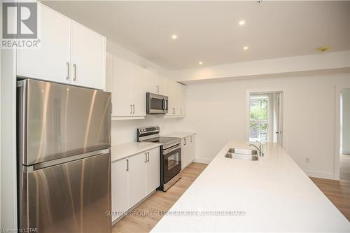1341 Commissioners Rd W, London, ON - Indoor Photo Showing Kitchen With Stainless Steel Kitchen With Double Sink