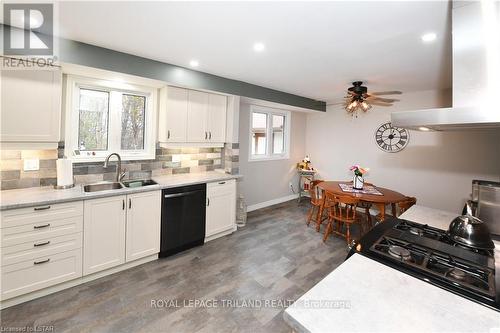 31 Parliament Crescent, London, ON - Indoor Photo Showing Kitchen With Double Sink