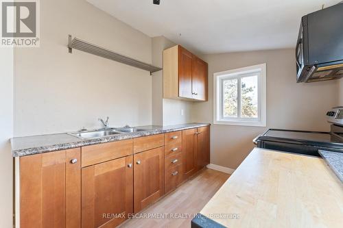 214 Robinson St, Hamilton, ON - Indoor Photo Showing Kitchen With Double Sink