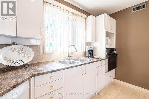 204 Concession Street, Hamilton, ON - Indoor Photo Showing Kitchen With Double Sink