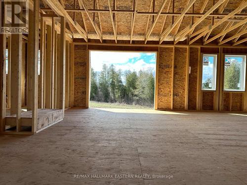 3430 Wallace Point Road, Otonabee-South Monaghan, ON - Indoor Photo Showing Basement