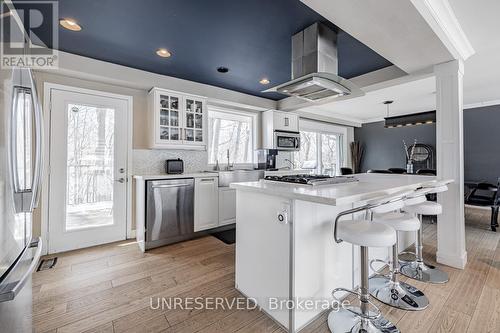 27 Sagebrush Lane, Toronto, ON - Indoor Photo Showing Kitchen With Upgraded Kitchen