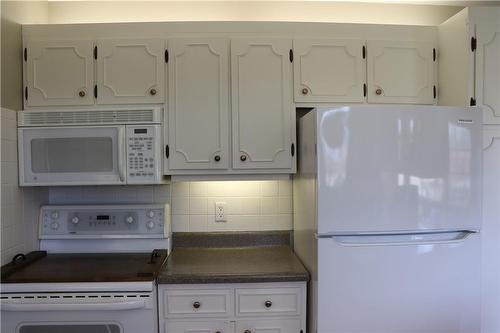 Appliances included - 119 Jarrett Place, Dunnville, ON - Indoor Photo Showing Kitchen
