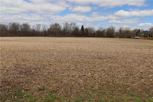 Backing onto open fields - 119 Jarrett Place, Dunnville, ON - Outdoor With View
