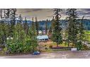 11 Gardom Lake Road, Enderby, BC  - Outdoor With View 