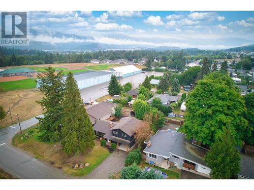 402 Kildonan Avenue, Enderby, BC - Outdoor With View