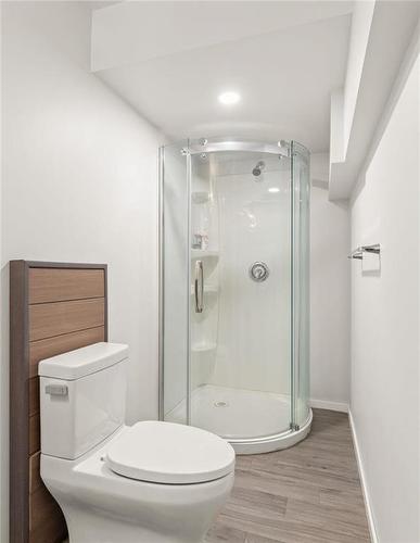427 Park West Drive, Winnipeg, MB - Indoor Photo Showing Bathroom
