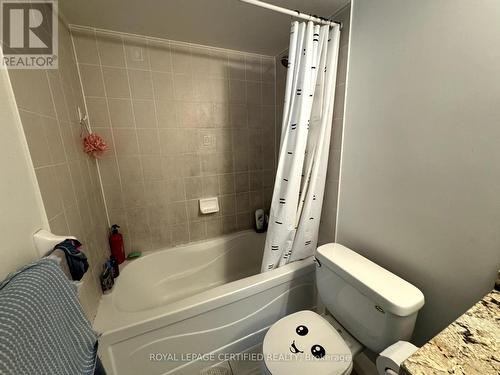 #1602 -18 Spring Garden Ave, Toronto, ON - Indoor Photo Showing Bathroom