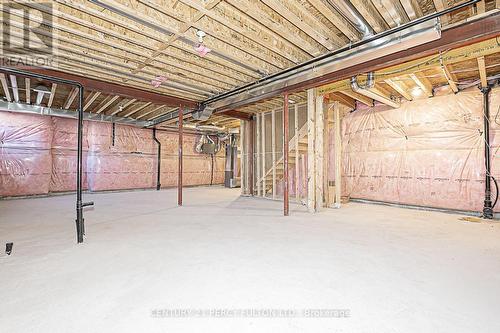 40 Joiner Circle, Whitchurch-Stouffville, ON - Indoor Photo Showing Basement