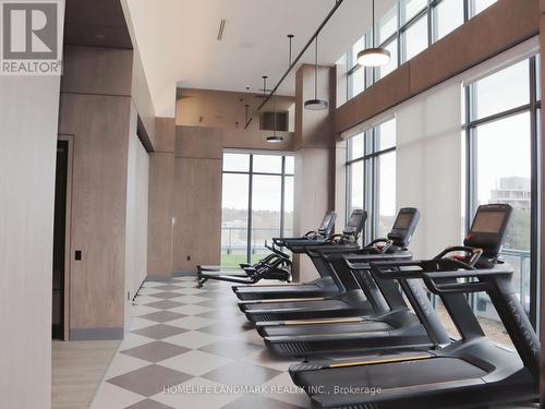 #2435 -20 Inn On The Park Dr, Toronto, ON - Indoor Photo Showing Gym Room