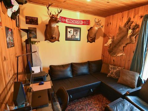 10 Bait And Tackle Road, Nestor Falls, ON - Indoor Photo Showing Living Room