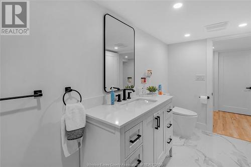 3745 Mckay Avenue, Windsor, ON - Indoor Photo Showing Bathroom