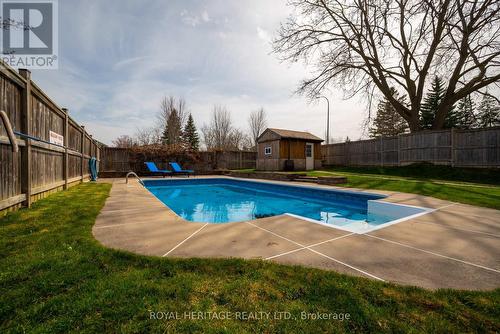 146 Guthrie Cres, Whitby, ON - Outdoor With In Ground Pool With Backyard