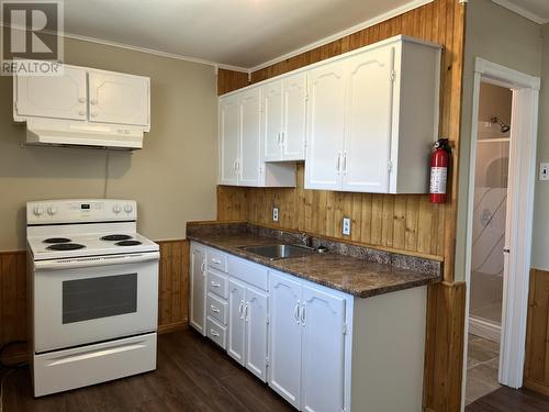 20 Osbourne Street, Placentia, NL - Indoor Photo Showing Kitchen With Double Sink