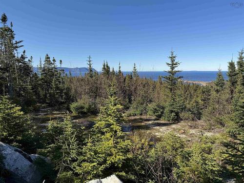 10-1 White Point Road, Smelt Brook, NS 