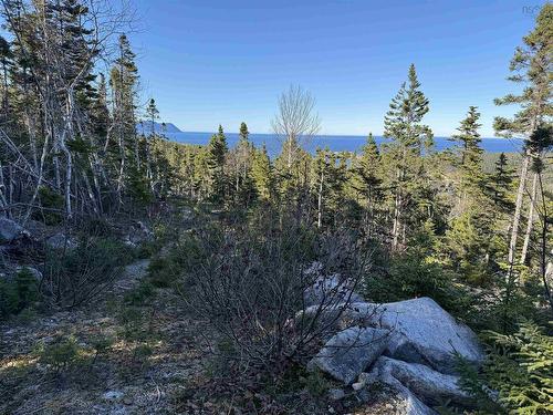 10-2 White Point Road, Smelt Brook, NS 