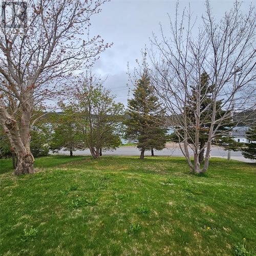 215-217 Main Road, Burin Bay Arm, NL - Outdoor With View