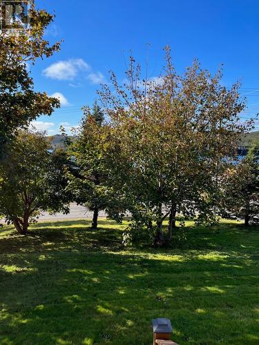 215-217 Main Road, Burin Bay Arm, NL - Outdoor With View
