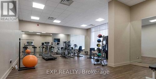 #226 -216 Oak Park Blvd, Oakville, ON - Indoor Photo Showing Gym Room