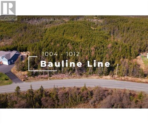 1008-1012 Bauline (Parcel B) Line, Bauline, NL 
