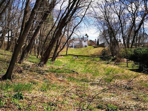 Land/Lot - Rue Laval, Papineauville, QC 