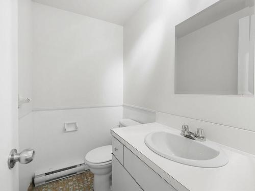 Salle d'eau - 890 Route Marie-Victorin, Lévis (Les Chutes-De-La-Chaudière-Ouest), QC - Indoor Photo Showing Bathroom