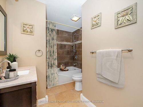 3452 Beech Grove Sdrd, Caledon, ON - Indoor Photo Showing Bathroom