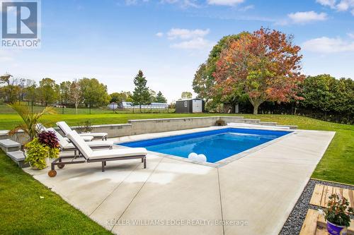 16 Mercury Rd, Hamilton, ON - Outdoor With In Ground Pool With Backyard