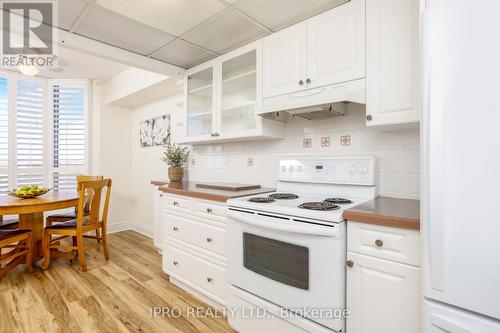 #1101 -20 Mcfarlane Dr, Halton Hills, ON - Indoor Photo Showing Kitchen