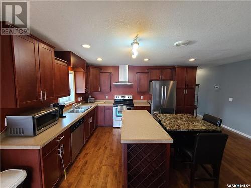 207 W 1St Street, Carlyle, SK - Indoor Photo Showing Kitchen With Stainless Steel Kitchen